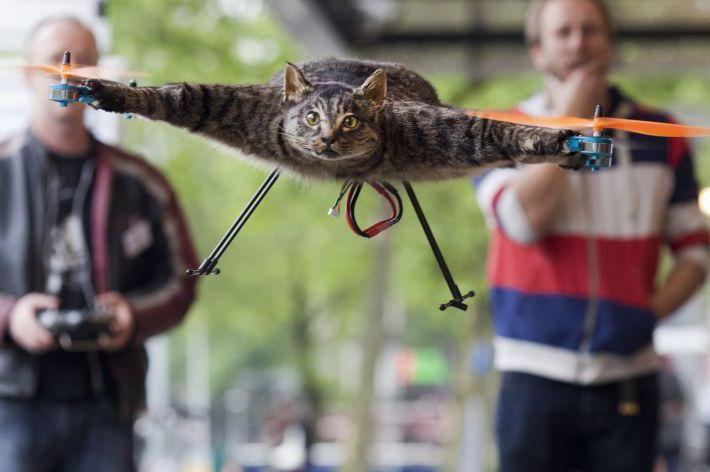 Tribut adus pisicii moarte: A transformat-o în elicopter! (VIDEO)