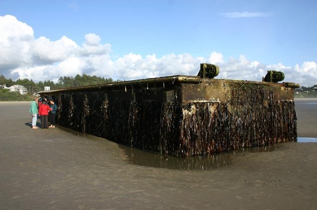 Un ponton plutitor luat de tsunami-ul din Japonia, în martie 2011, a eşuat pe o plajă din SUA