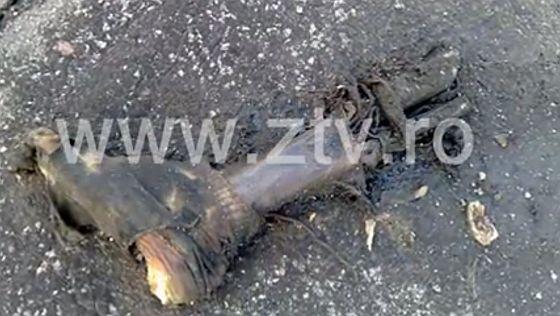 Pe acoperişul unui bloc din Zalău a fost găsit un picior de om
