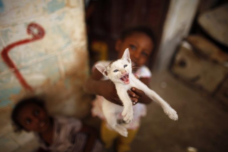 17 iunie 2012. Imaginile zilei 13510905