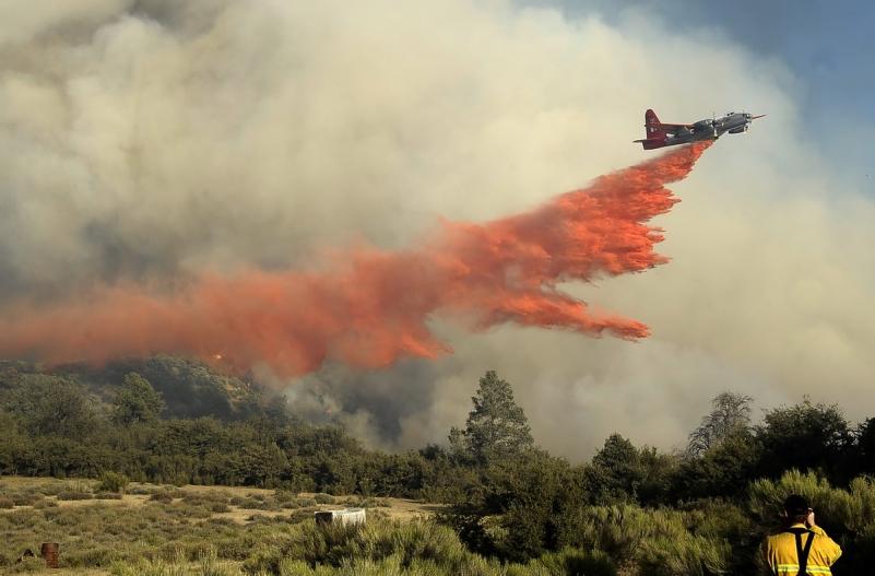 17 iunie 2012. Imaginile zilei 13510909