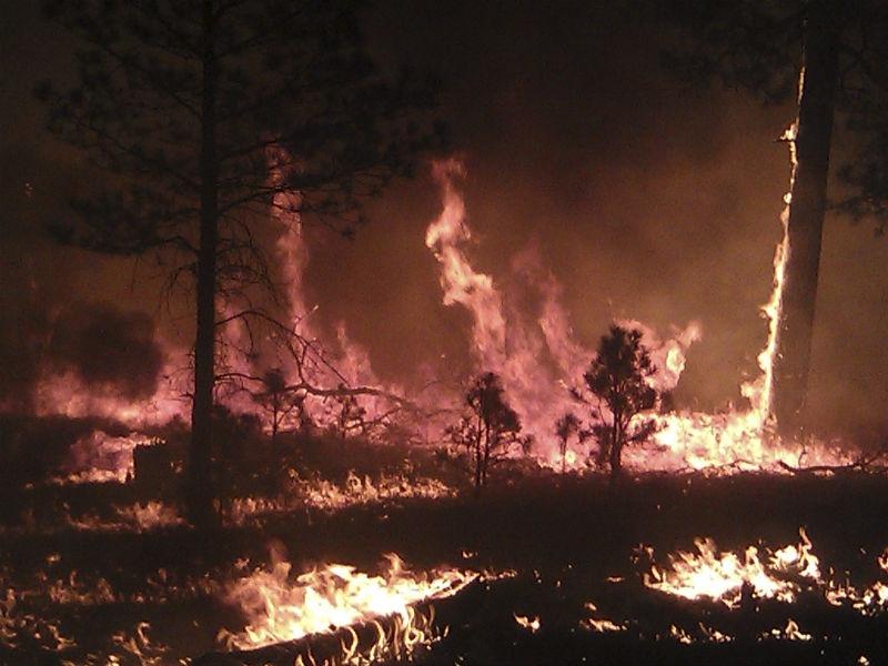 A incendiat o pădure încercând să trimită semnale de fum