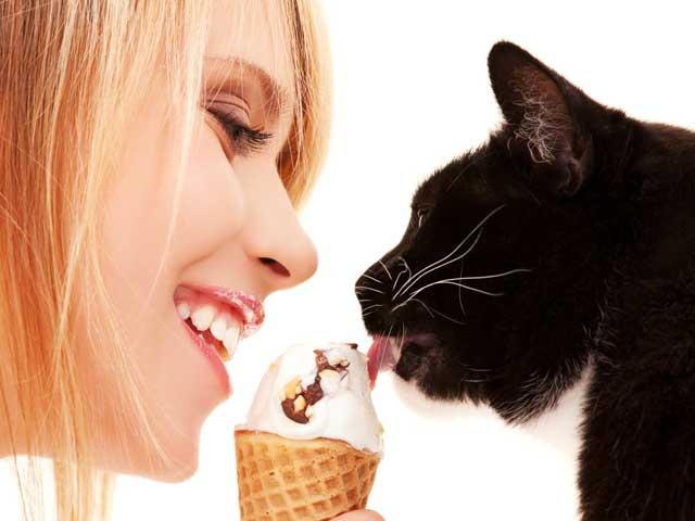 Pisicuţele nu cunosc gustul dulce al ciocolatei