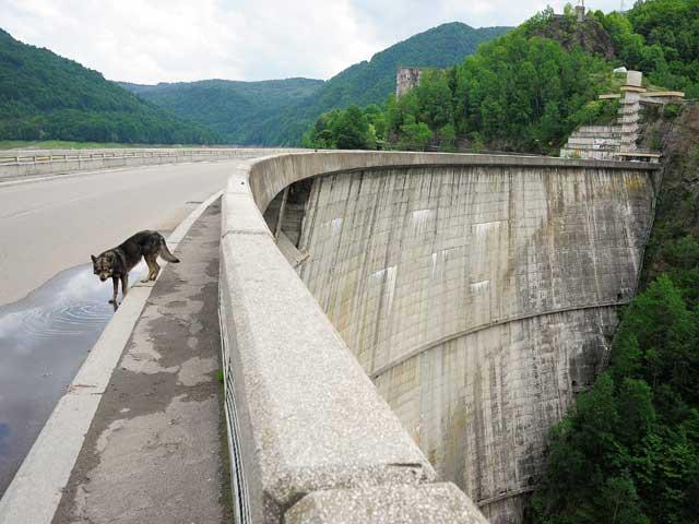 Efectele insolvenţei Hidroelectrica: Moody's avertizează că statul va fi pus în situaţia de a ajuta financiar compania