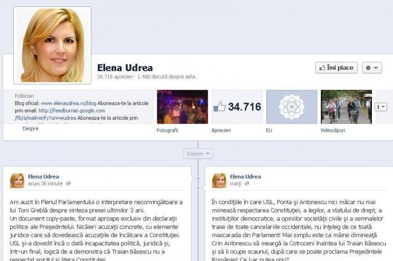 Elena Udrea, pe Facebook: Documentul USL, un copy-paste din presa ultimilor trei ani