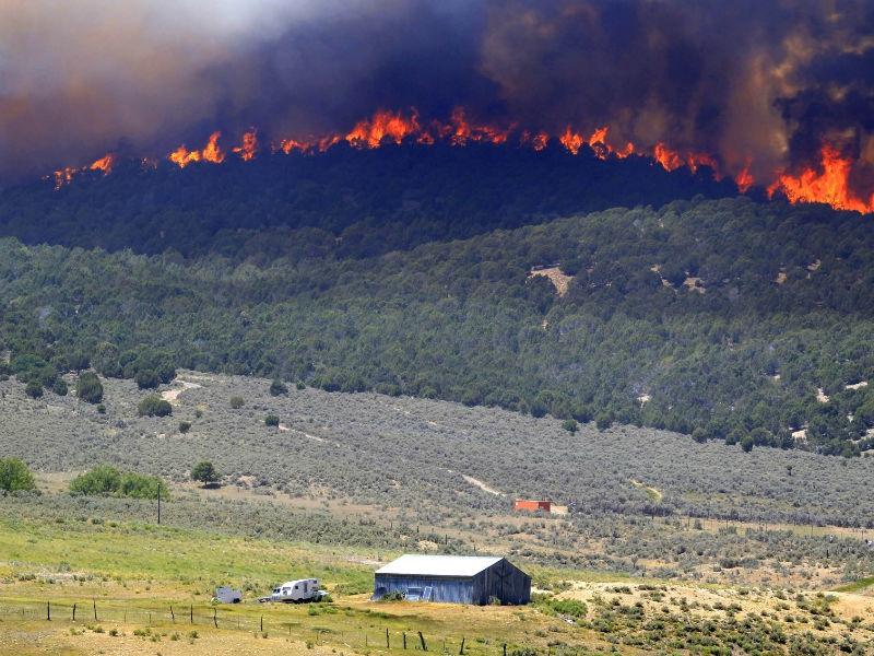 Incendiul de pădure din Harghita continuă să se extindă, afectând între 60 şi 100 de hectare