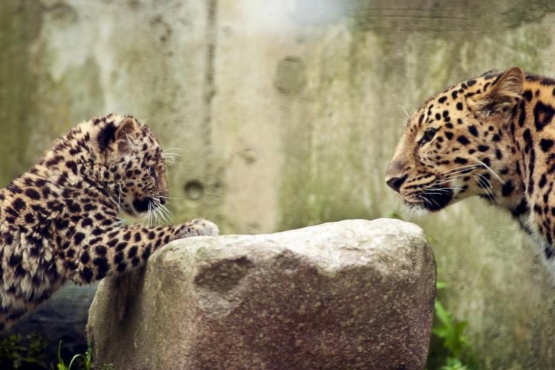 12 iulie 2012. Imaginile zilei 14520166