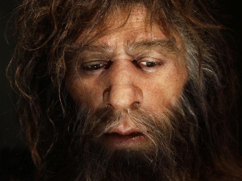 Oamenii de Neanderthal se ocupau mai mult cu treburile casnice, decât cu vânătoarea
