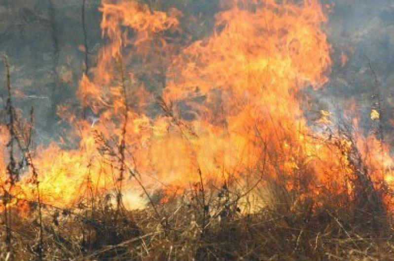 Peste 15 hectare de pădure, cuprinse de un incendiu puternic, în Munţii Şureanu