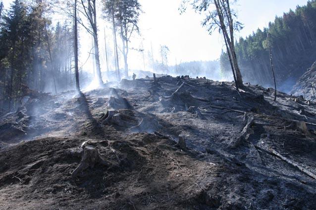 Scăderea debitelor pe Dunăre şi incendiile din Bucegi bagă în şedinţă Comitetul Naţional pentru Situaţii de Urgenţă