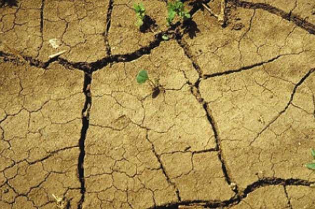 România pierde 3 milioane de euro din cauza secetei