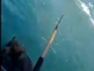 (VIDEO) Pui de urs prins într-un vârtej de apă, salvat de trei pescari