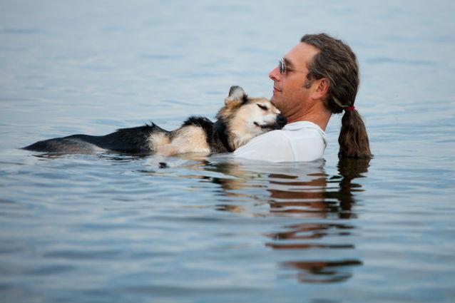 Imaginea care a emoţionat milioane de persoane: Un om cu dragoste de câine