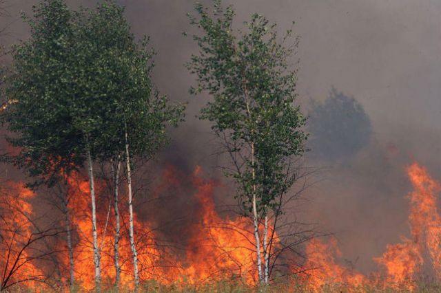Incendiu într-o pădure din judeţul Buzău. Peste 100 de oameni au acţionat pentru lichidarea acestuia