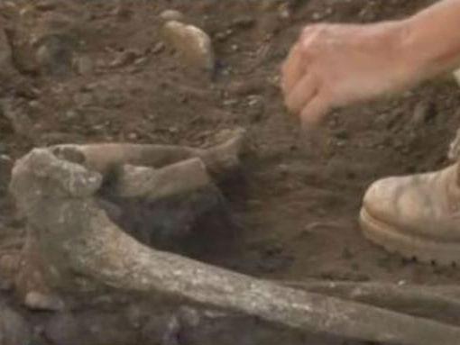 Descoperire arheologică importantă lângă Ploieşti: Oseminte din Epoca Bronzului, scoase la lumină după 5.000 de ani