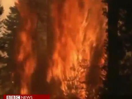 Incendiile fac ravagii în nordul Californiei, unde autorităţile au decretat stare de urgenţă (VIDEO)