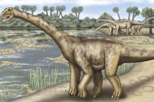 Încă o aroganţă din Franţa: Dinozaurul ţigan, recent descoperit, seamănă cu "verii" din România