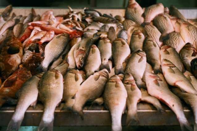Prima piaţă de peşte din Capitală, în sectorul 6