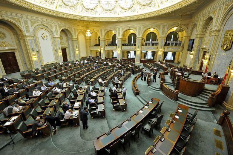 Senatul şi-a votat conducerea: Berceanu, Filip, Ruşanu şi Chirvăsuţă - vicepreşedinţi