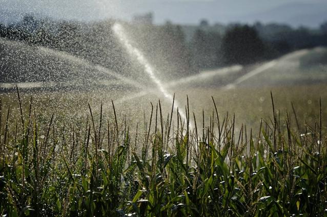 Ministrul Agriculturii cere sprijinul investitorilor chinezi pentru refacerea sistemului de irigaţii din România