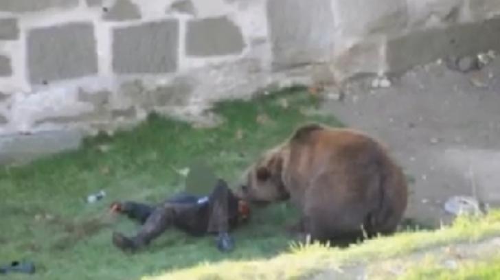 Un urs turbat a atacat trei persoane în câteva ore