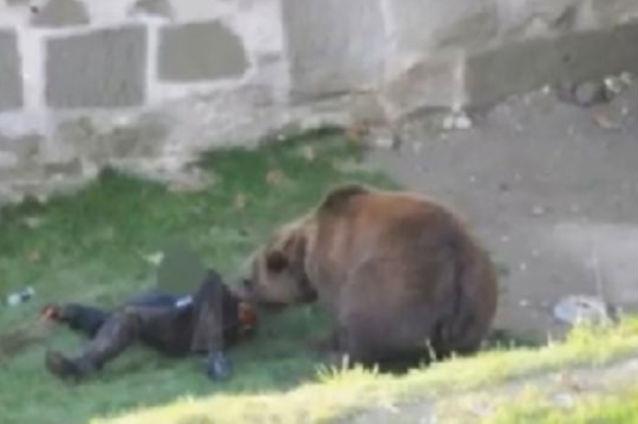 Autopsia ursului ucis în Dâmboviţa s-a încheiat. Animalul era cel care a ucis o persoană şi suferea, într-adevăr, de turbare