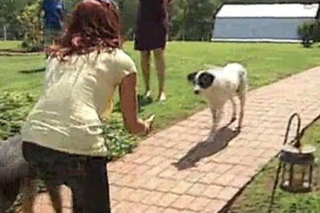 Moment emoţionant: O familie şi-a regăsit câinele după aproape patru ani (VIDEO)