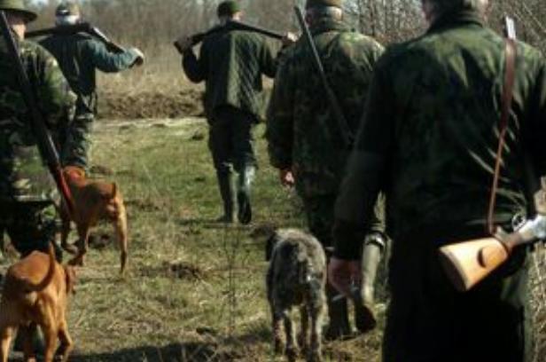 Vânători, pădurari, jandarmi şi câini, pe urmele ursului ucigaş. Localnicii, avertizaţi că animalul este foarte periculos