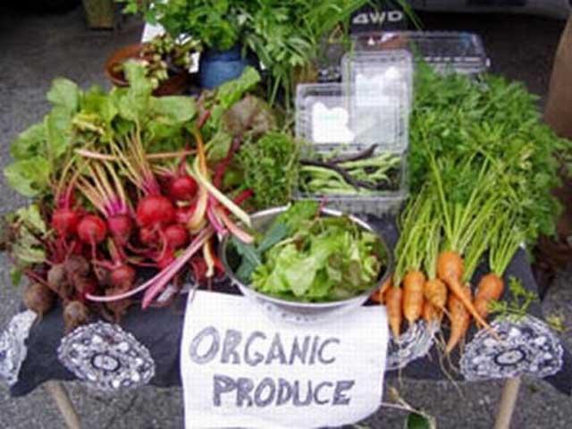 Stanford: Organic nu înseamnă neapărat sănătos