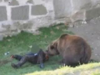 Ursul care a rănit un vânător argeşean era turbat