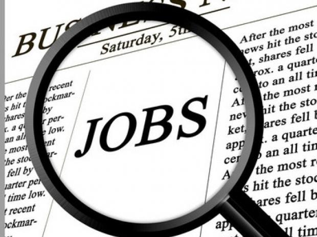 Rata şomajului, în scădere: 6,9% în trimestrul II din 2012