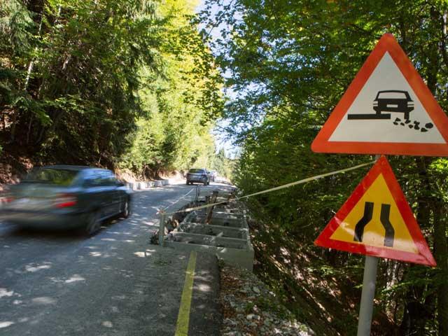 Safari printre oi şi gherţoi pe Drumul Babelor 18118336