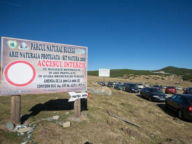 Safari printre oi şi gherţoi pe Drumul Babelor 18118340