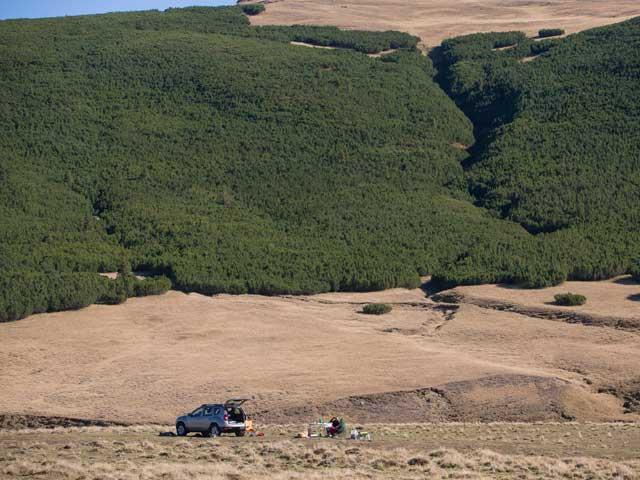 Safari printre oi şi gherţoi pe Drumul Babelor 18118342