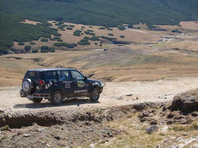 Safari printre oi şi gherţoi pe Drumul Babelor 18118345