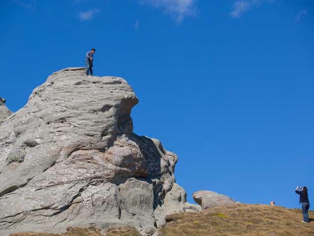 Safari printre oi şi gherţoi pe Drumul Babelor 18118347