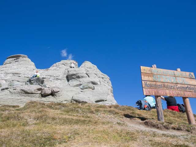 Safari printre oi şi gherţoi pe Drumul Babelor 18118348