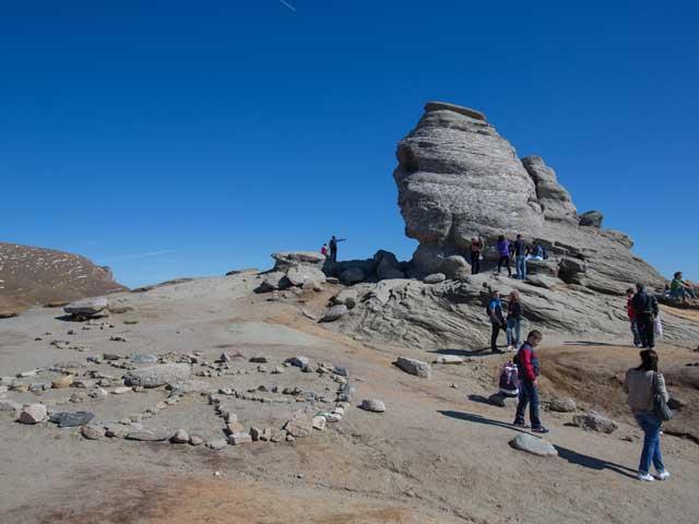 Safari printre oi şi gherţoi pe Drumul Babelor 18118349