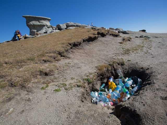 Safari printre oi şi gherţoi pe Drumul Babelor 18118350