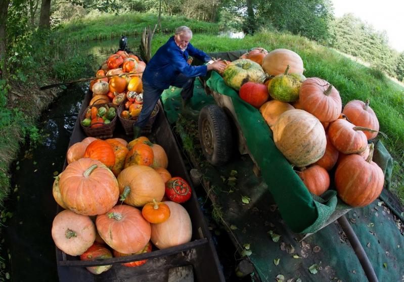 26 septembrie 2012. Imaginile zilei 18128467