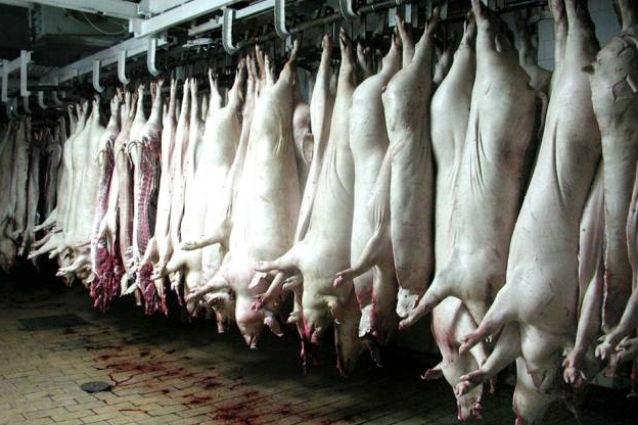 Vine APO(R)CALIPSA! Carnea de porc şi-ar putea dubla preţul în următoarele 12 luni, din cauza secetei
