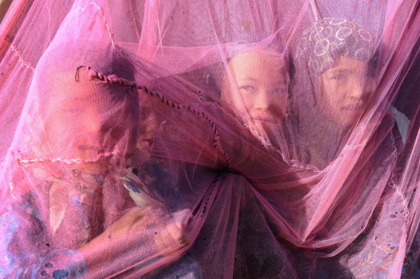 1 octombrie 2012. Imaginile zilei 18274031