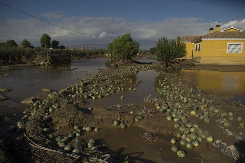 1 octombrie 2012. Imaginile zilei 18274033