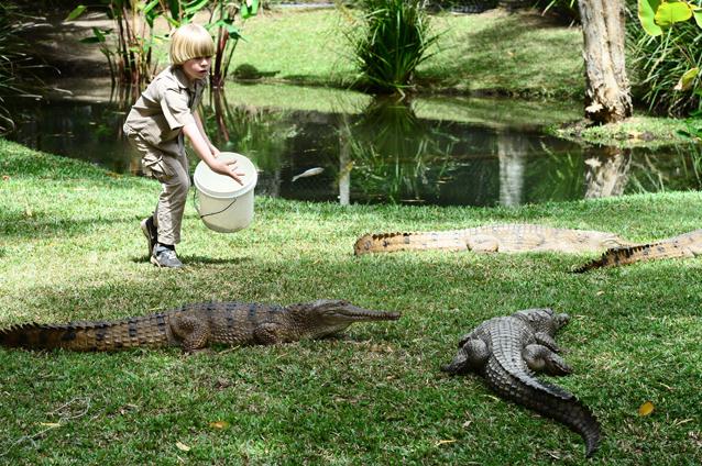 Bindi şi Robert Irwin, copii regretatului Steve Irwin, şi-au făcut debutul la grădina zoologică Australian Zoo