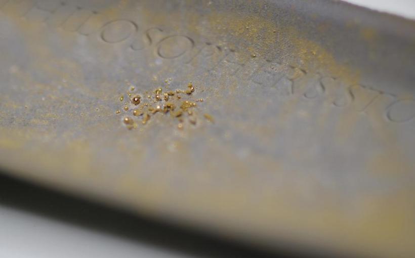 Cercetatorii au descoperit o bacterie care produce aur pur