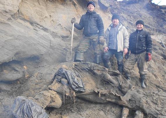 Descoperire INCREDIBILĂ în Rusia: Un băiat de 11 ani a găsit un mamut aproape intact, vechi de 30.000 de ani
