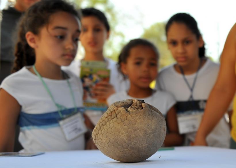 GALERIE FOTO. Lumea animalelor din grădinile zoologice 18274798