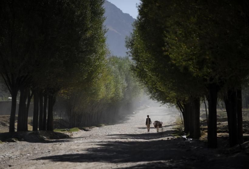 11 OCTOMBRIE 2012. IMAGINILE ZILEI 18275213