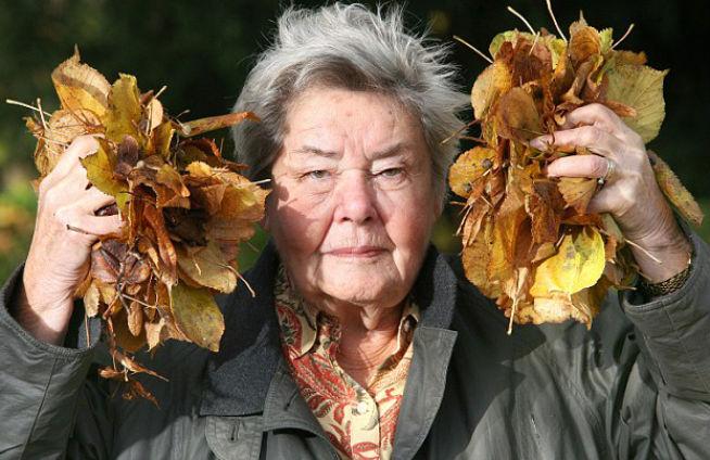 O bunică riscă să ajungă 12 luni la închisoare pentru că a măturat frunzele din curtea ei