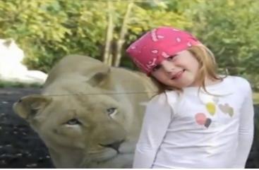 Fetiţă pândită de o leoaică la grădina zoologică (VIDEO)